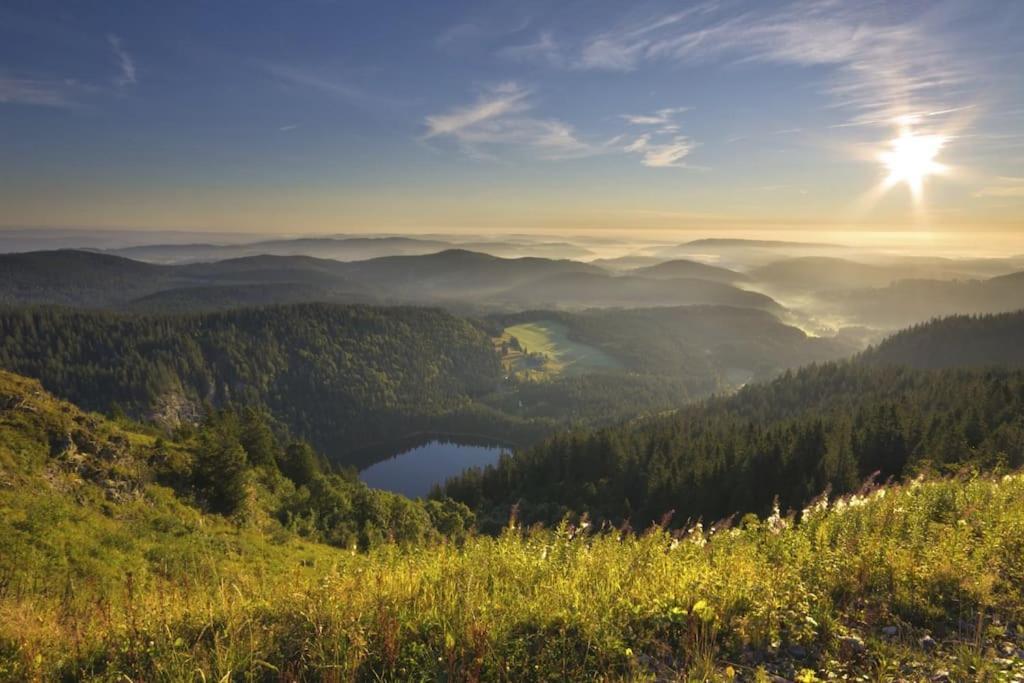 Waldtwin 2 Titisee Exterior photo